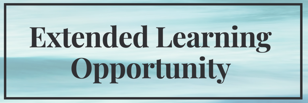 Extended Learning Opportunity