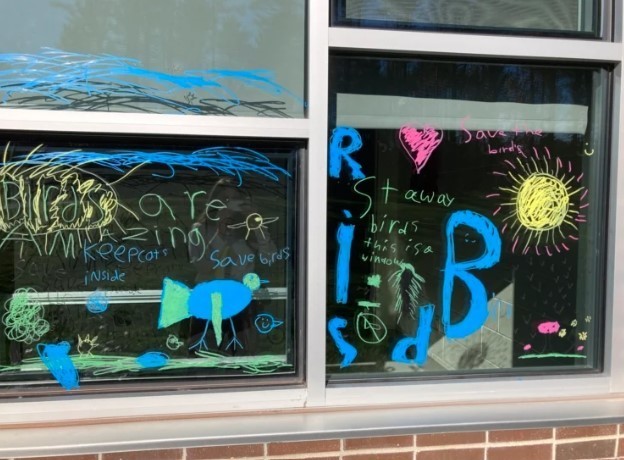 Window murals