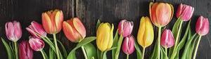 April 26th Parent Note