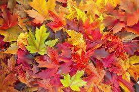 October 21st Parent Note
